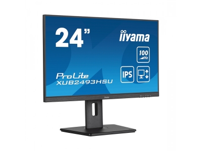 Монитор iiyama ProLite PL2493HS XUB2493HSU-B6 23,8