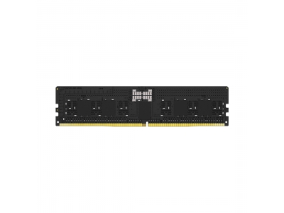 Модуль памяти Kingston FURY Renegade Pro XMP KF560R32RB-16 DDR5 16GB 6000MHz RDIMM