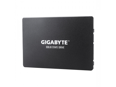 Твердотельный накопитель внутренний Gigabyte GP-GSTFS31100TNTD