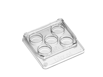 Square 5 well dish, per 6 - 30x6/box