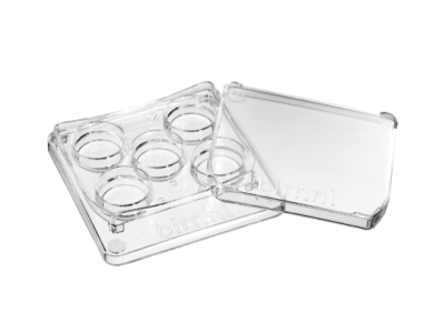 Square 5 well dish, per 6 - 30x6/box