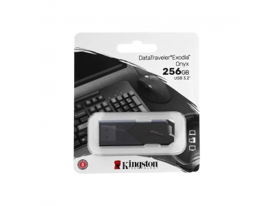 USB-накопитель Kingston DTXON/256GB 256GB