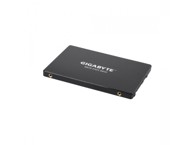 Твердотельный накопитель внутренний Gigabyte GSTFS31480GNTD