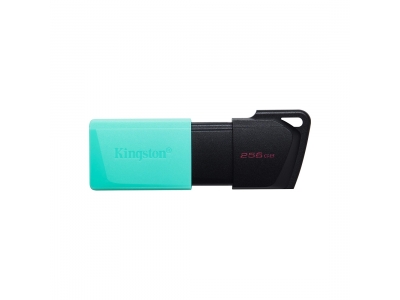 USB-накопитель Kingston DTXM/256GB 256GB Бирюзовый