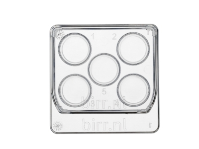 Square 5 well dish, per 6 - 30x6/box