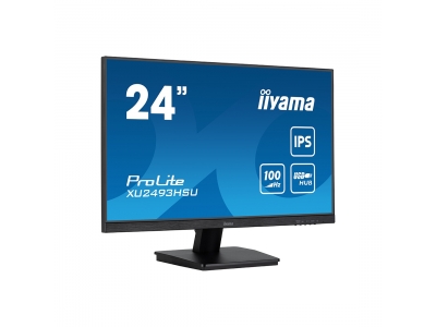 Монитор iiyama ProLite PL2493HS XU2493HSU-B6 24