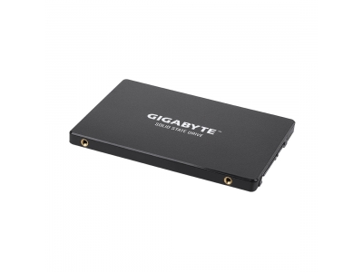 Твердотельный накопитель внутренний Gigabyte GP-GSTFS31100TNTD