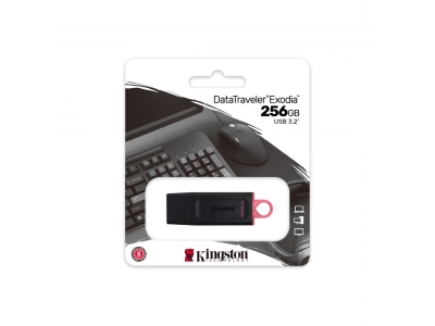 USB-накопитель Kingston DTX/256GB 256GB Чёрный