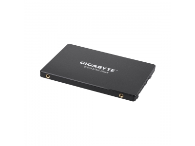 Твердотельный накопитель внутренний Gigabyte GSTFS31240GNTD