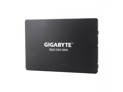 Твердотельный накопитель внутренний Gigabyte GSTFS31256GTND