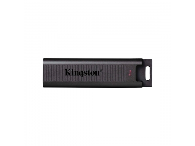 USB-накопитель Kingston DTMAX/1TB 1TB Черный