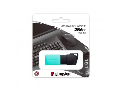 USB-накопитель Kingston DTXM/256GB 256GB Бирюзовый