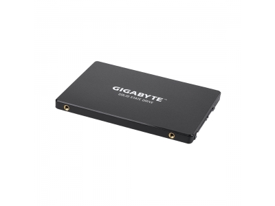 Твердотельный накопитель внутренний Gigabyte GSTFS31256GTND