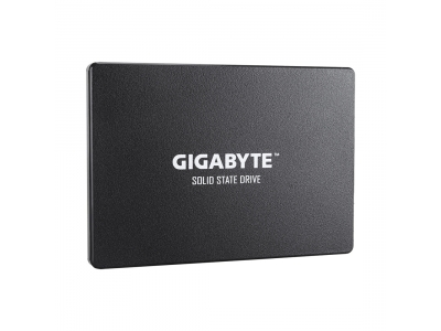 Твердотельный накопитель внутренний Gigabyte GP-GSTFS31100TNTD