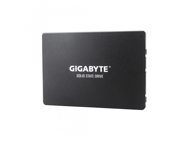 Твердотельный накопитель внутренний Gigabyte GSTFS31480GNTD