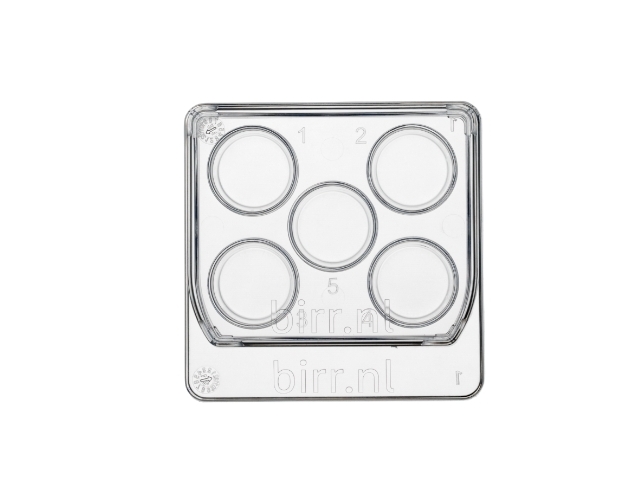 Square 5 well dish, per 6 - 30x6/box